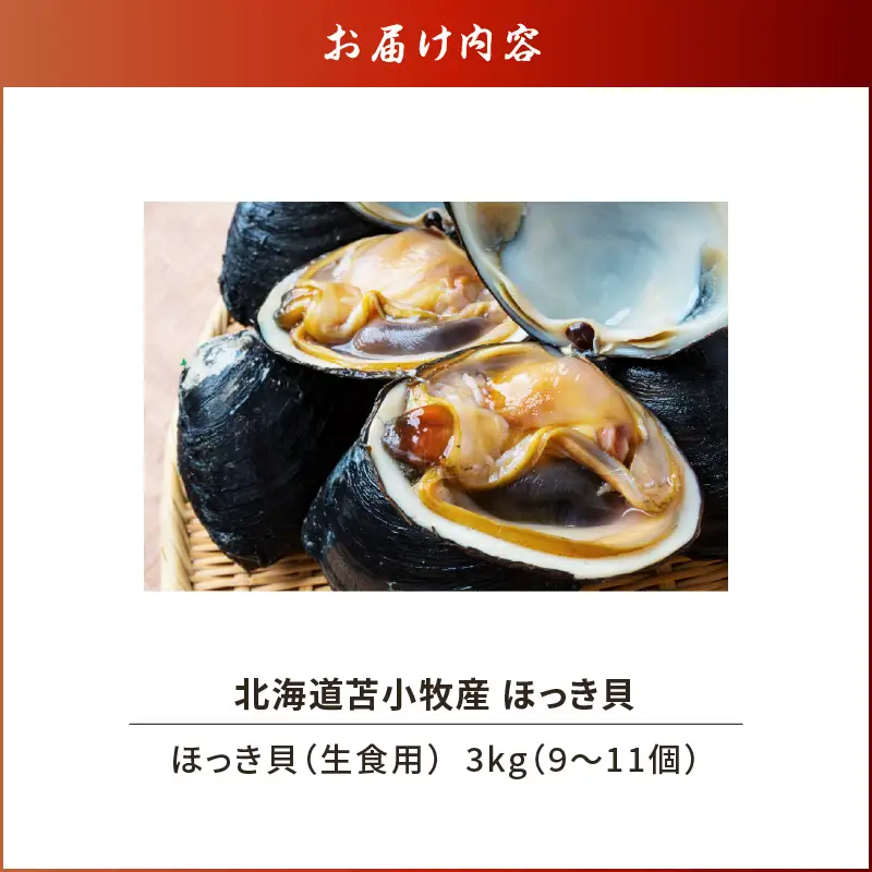 【 10営業日以内に発送 】 北海道苫小牧産 ほっき貝 3kg （ 9～11個 ） T032-001 魚介類 貝