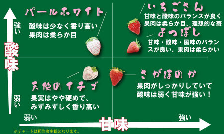 さがほのか1箱＆いちごさん1箱セット（計2箱）ふるかわ農園 苺 いちご A080-030