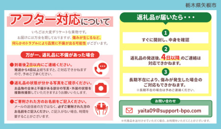 【2027年先行予約】栃木のいちご4品種 食べ比べセット｜いちご