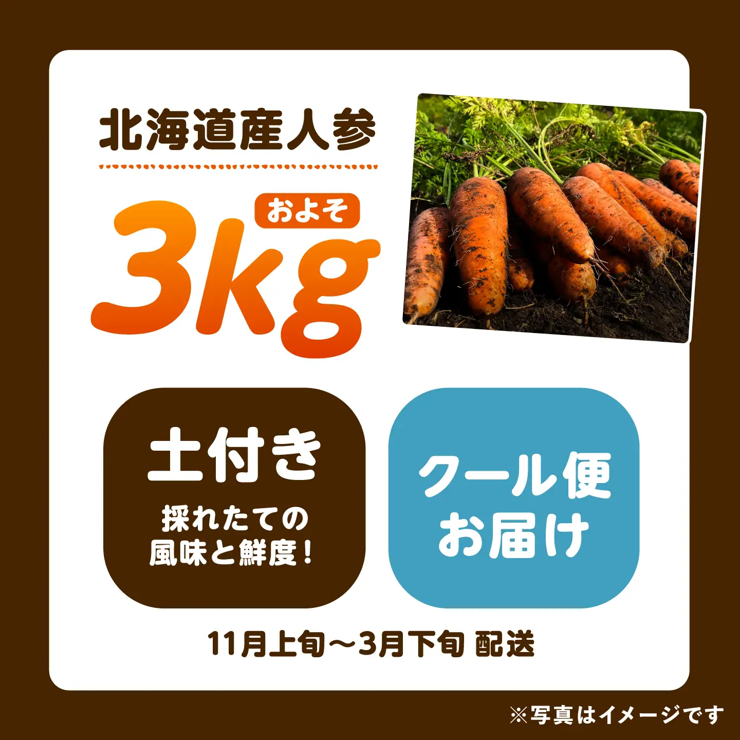 【先行予約】北海道にんじん 3kg(土付き)にんじん[BEBA002]