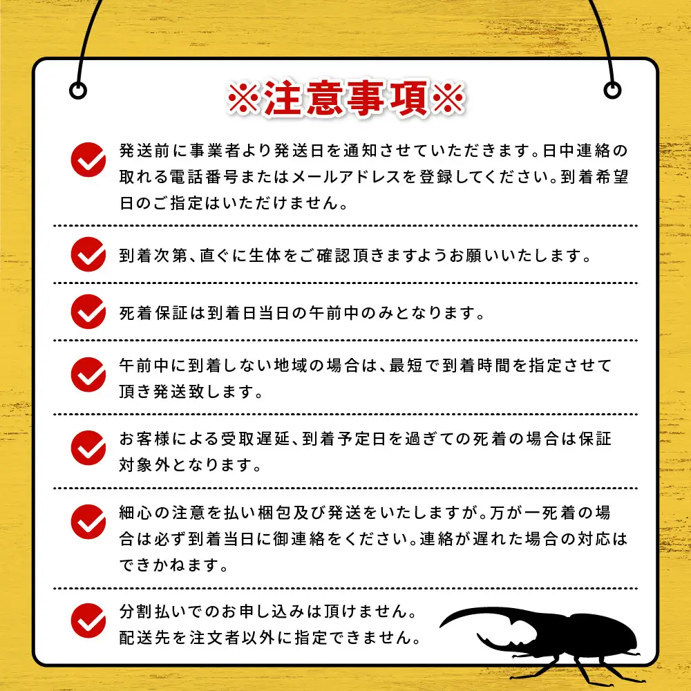 【先行予約】ヘラクレスオオカブト ペア 少し訳あり（オス120mm～140mm前後・メスフリー）※配送不可地域あり ※期間限定 ※数量限定【2027年3月より順次発送】