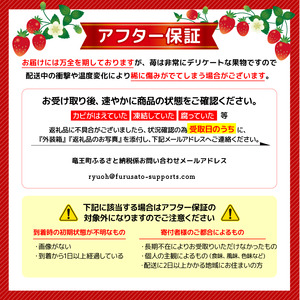 竜王産 いちご きらめきの雫  2 パック 食べ比べ セット