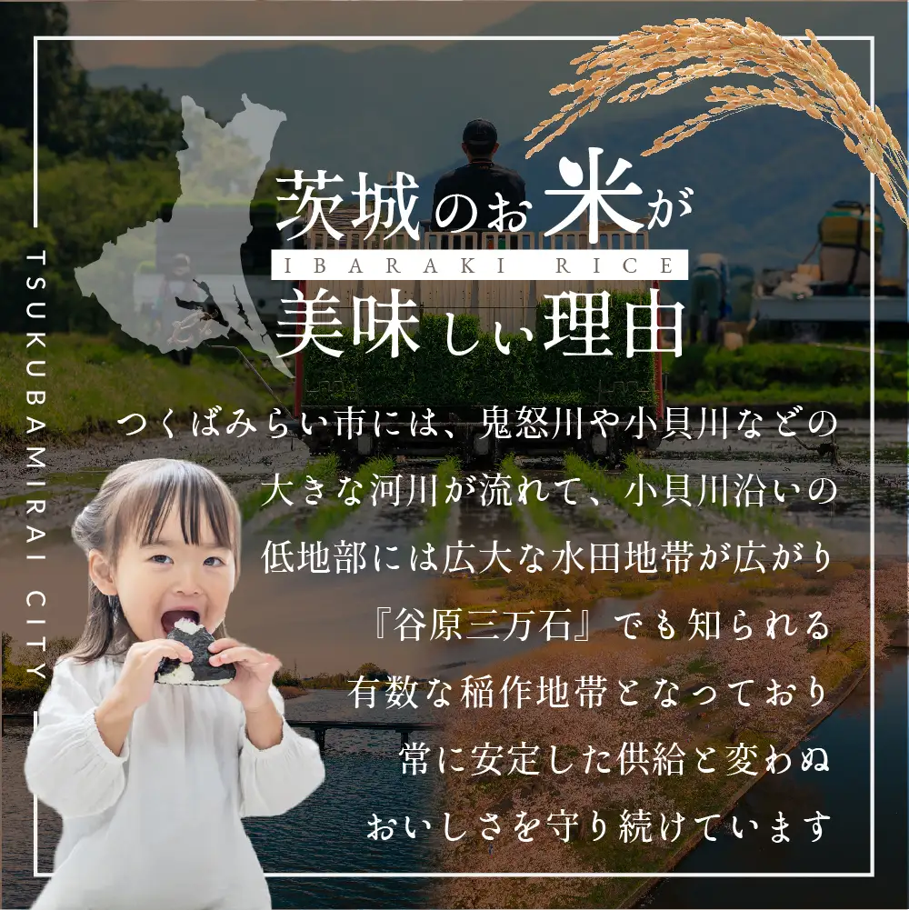 最短翌日出荷!! 令和7年産 茨城県産 コシヒカリ 10kg ( 5kg ×2袋) 