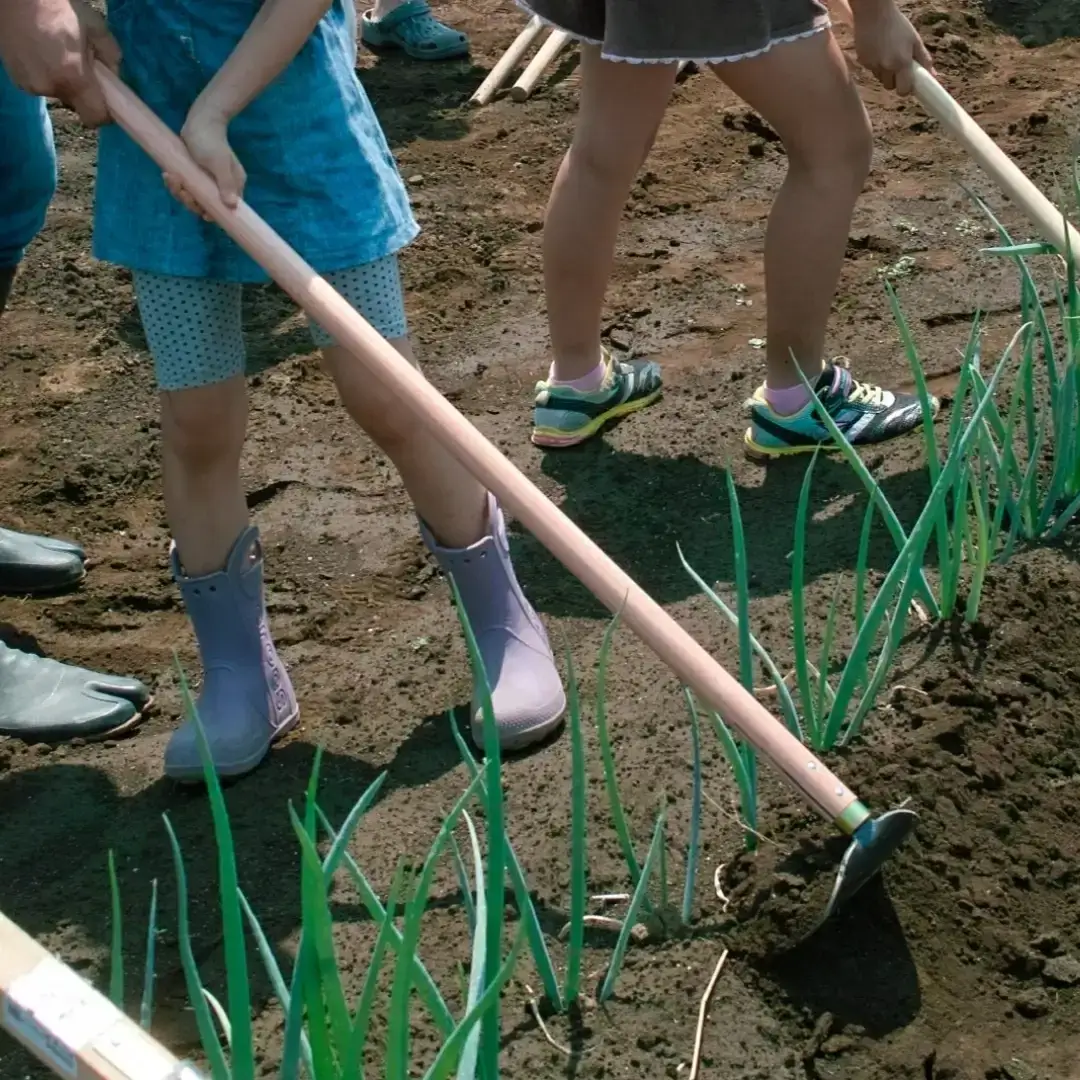 万能ワングリホー210mm 刃先カバー付 除草道具 園芸用品 鍛冶 鍛造 燕三条製 [相田合同工場] 【024S035】