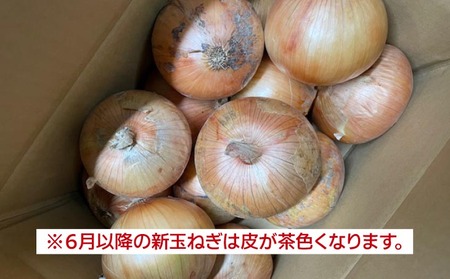 新玉ねぎ シャーロットオニオン 5kg  ◆配送７月上旬～１１月末