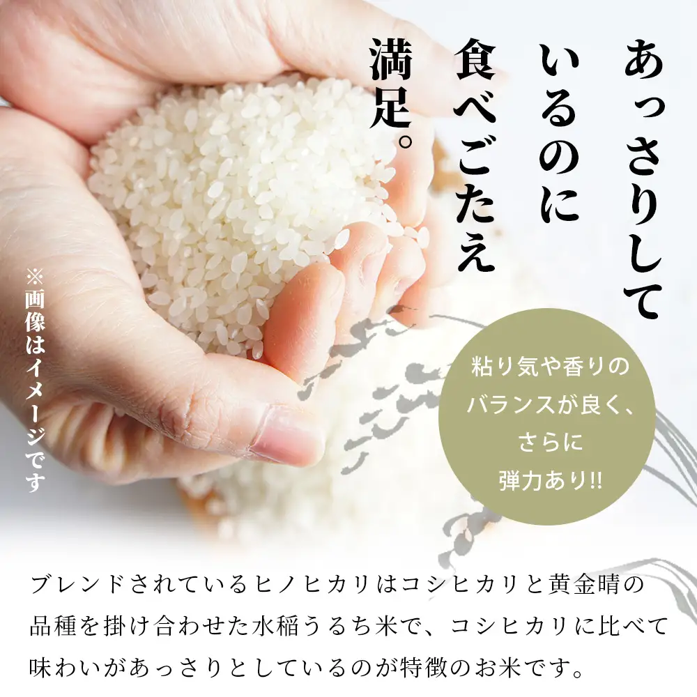 令和7年産 精米 「ふる里からの贈り物」10kg 熊本産 ひのひかり ヒノヒカリ ブレンド米 036-0178