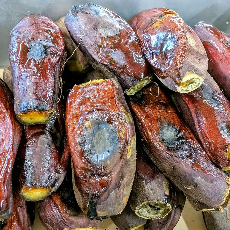 2027年1月発送 先行予約 干し芋工房 風と太陽の小芋焼き芋 1.8kg しっとり甘い おいも いも 芋 茨城県産 国産 無添加 和菓子 お菓子 おやつ スイーツ お取り寄せ さつまいも