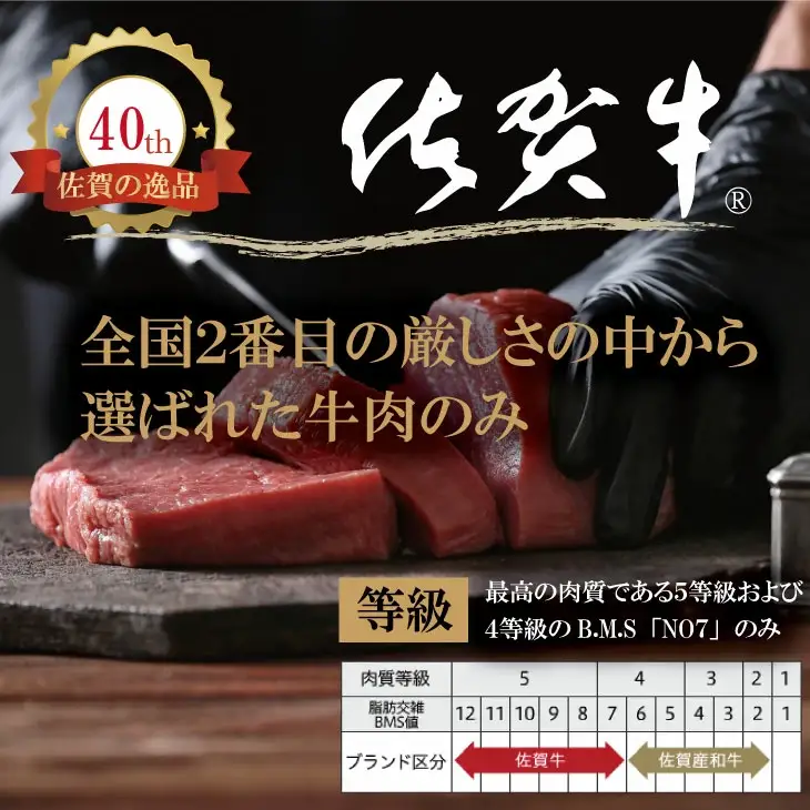 佐賀牛 焼肉 400g  焼肉 牛肉 厳選部位 B120-031