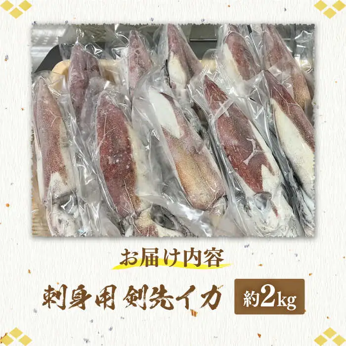 刺身用 剣先イカ 約2kg（急速冷凍）《壱岐市》【魚助】 イカ いか 剣先いか ケンサキイカ刺し身 鮮魚 海鮮 [JFX001]
