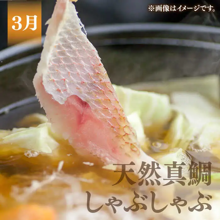 【先行予約】【全3回定期便】《1・2・3月お届け》 うまか鍋セット 4から6人前（切身約1000g）【2027年1月以降順次発送】 《壱岐市》【魚助】 鍋 くえ クエ ブリ ぶり 鰤 鯛 たい タイ クエ鍋  [JFX004]