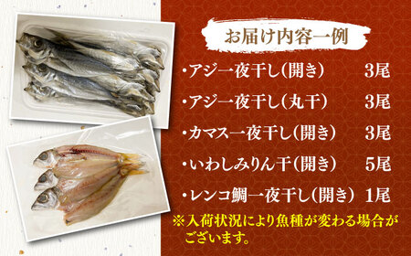 地魚 田舎干物セット 5種《壱岐市》【魚助】 干物 ひもの 海産物 朝食 海鮮 アジ あじ カマス イワシ アジの開き [JFX005] 九州