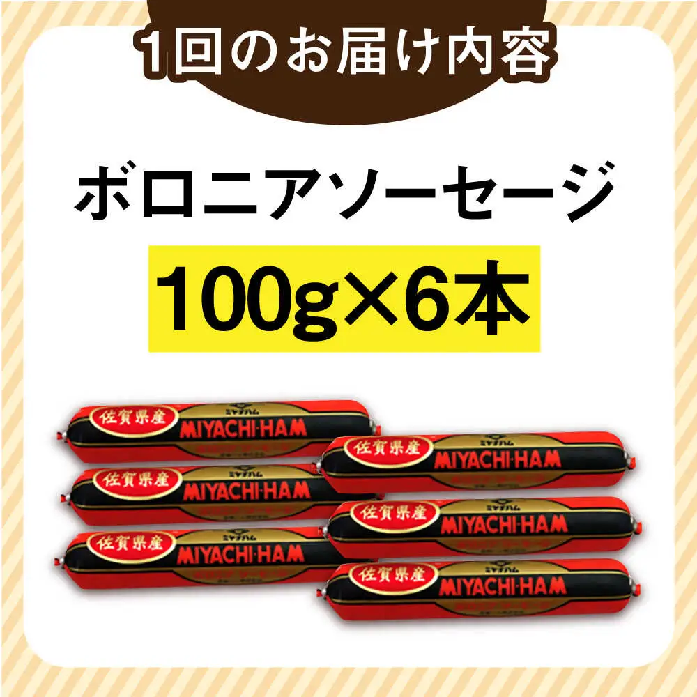 【6回定期便】宮地ハムのロングセラー ボロニアソーセージ 100g×6本 /宮地ハム [UBM012] ソーセージ