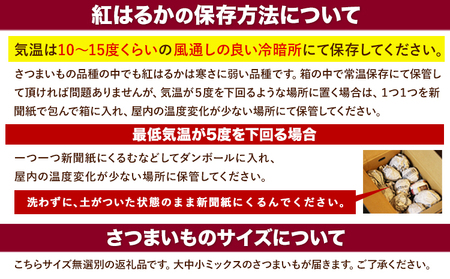熊本県 大津町産 タカハマ観光農園 の 紅はるか 約3kg 大中小ミックス《30日以内に出荷予定(土日祝除く)》 さつまいも 芋 スイートポテト 干し芋にも