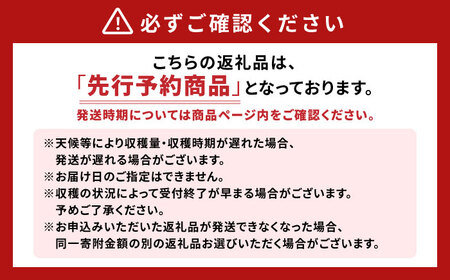 いちご「ゆめのか」4P / イチゴ 苺 いちご ゆめのか 果物 くだもの フルーツ ふるーつ / 大村市 / 産直松吉[ACZC005]