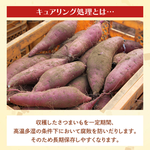 茨城県産 紅はるか 訳あり サイズミックス　約5kg｜訳あり わけあり 訳アリ さつまいも サツマイモ さつま芋 紅はるか べにはるか 芋 いも 茨城県産 行方市(FU-1)
