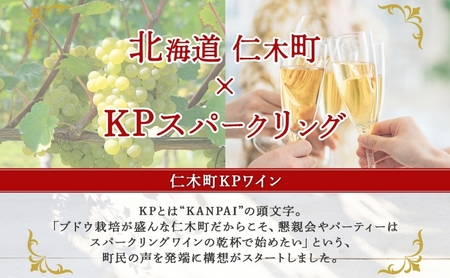 スパークリングワイン KPワインTテロワール辛口 スパークリングワイン【750ml2本】