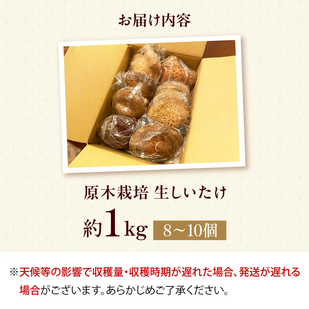【先行予約】 原木生しいたけ 約1kg (～10個) ＜12月中旬～1月頃順次発送予定＞AOCS001 しいたけ