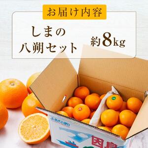 【2027年1月下旬から発送】しまの八朔セット約8kg（Mサイズ程度　約30個　紅八朔と八朔）