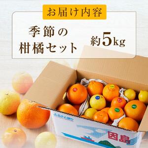 【2027年1月下旬から発送】季節の柑橘セット約5kg 