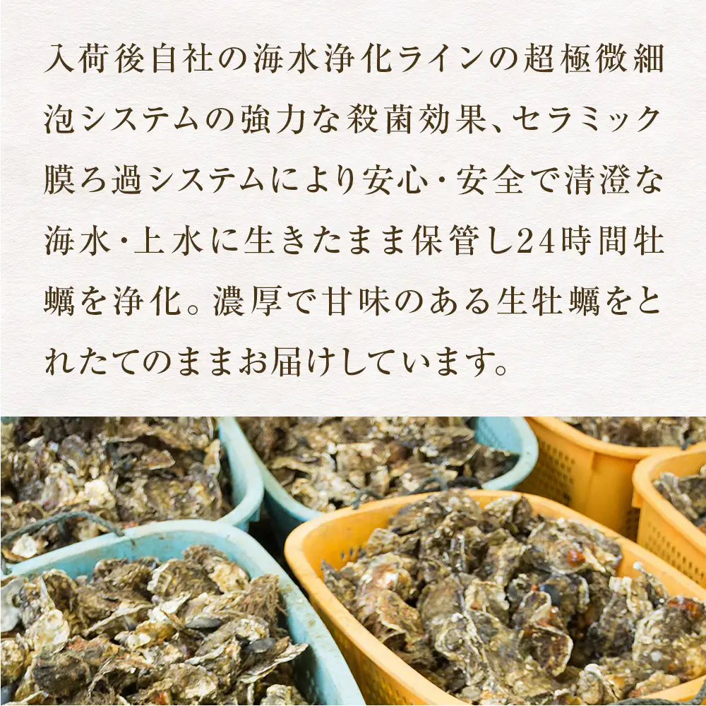 宮城県産 牡蠣 殻付き 生食用 18個（6個入×3袋） 冷凍 カキ
