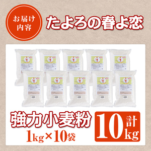 【C7022】＜北海道士別市産小麦＞ たよろの春よ恋 強力粉 ( 1kg×10袋・計10kg) 小麦 小麦粉 強力粉 春よ恋 北海道産 士別市産 国産 国産小麦粉 パン お菓子 料理 1kg 10kg【たよろ春小麦の会】