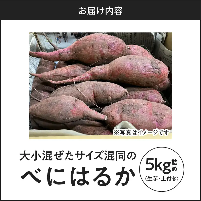サイズバラバラ熟成べにはるか（生芋）土付き 5kg K270-001
