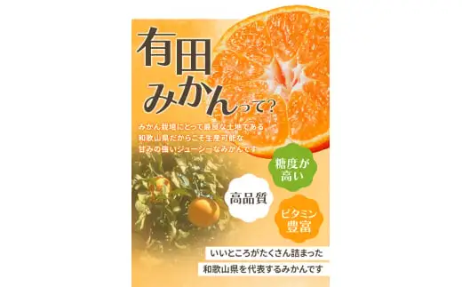 【2026年11月発送予約分】＼光センサー選別／ 【農家直送】【家庭用】こだわりの有田みかん4kg＋150g(傷み補償分) 先行予約 有機質肥料100% サイズ混合 【11月発送】みかん ミカン 有田みかん 温州みかん 柑橘 有田 和歌山 ※北海道・沖縄・離島配送不可/みかん ミカン 有田みかん 温州みかん 柑橘 有田 和歌山 産地直送【nuk004-c-4-novI】