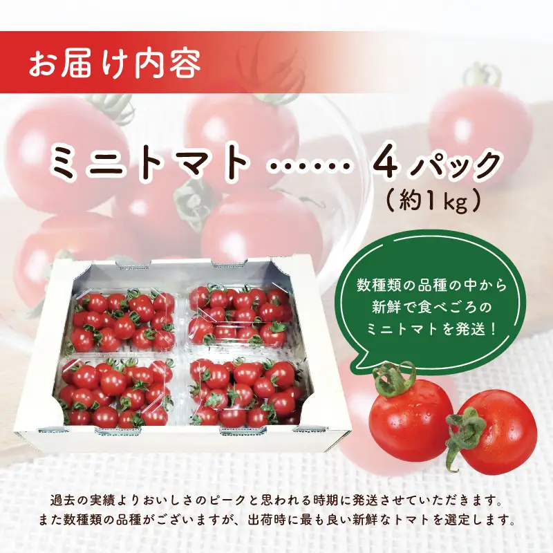 【先行予約】こだわり ミニトマト 4パック 合計 約1kg