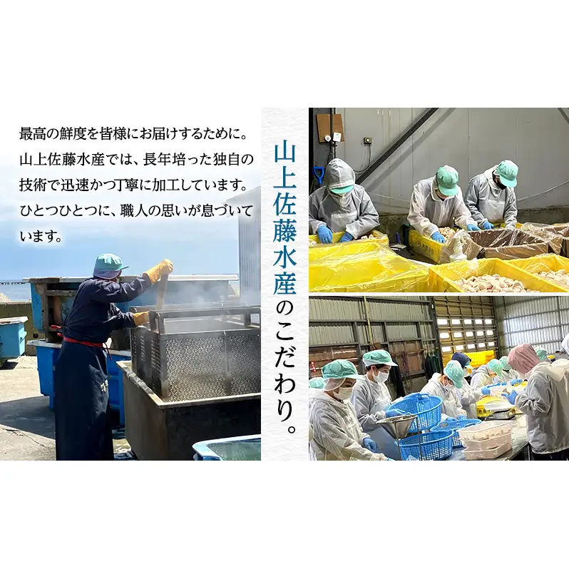 オホーツク枝幸 浜茹でボイル たこ足 2本 計1.4kg 冷凍 極太［山上佐藤水産］1本600～800g【 たこ タコ 脚 海鮮 魚貝類 北海道 オホーツク 枝幸 】