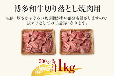 訳あり！【A4～A5】博多和牛焼肉切り落とし(肩ロース・バラ）1kg（500g×2） 黒毛和牛 お取り寄せグルメ お取り寄せ 福岡 お土産 九州 福岡土産 取り寄せ グルメ 福岡県