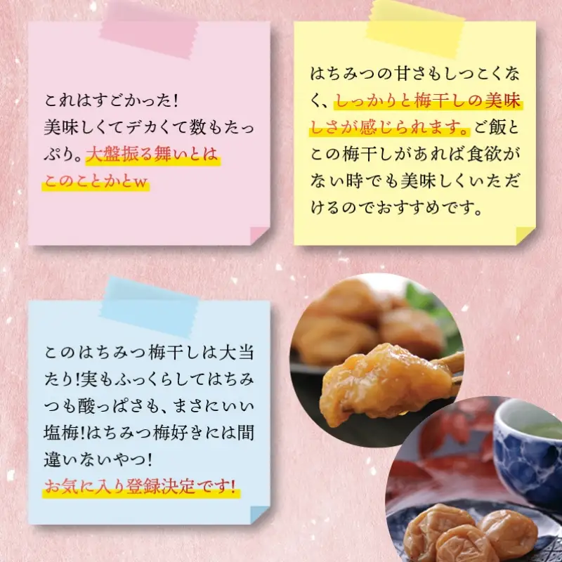 梅干し 最高級紀州南高梅・大粒はちみつ梅干し 1kg【ご家庭用】【inm110C】
