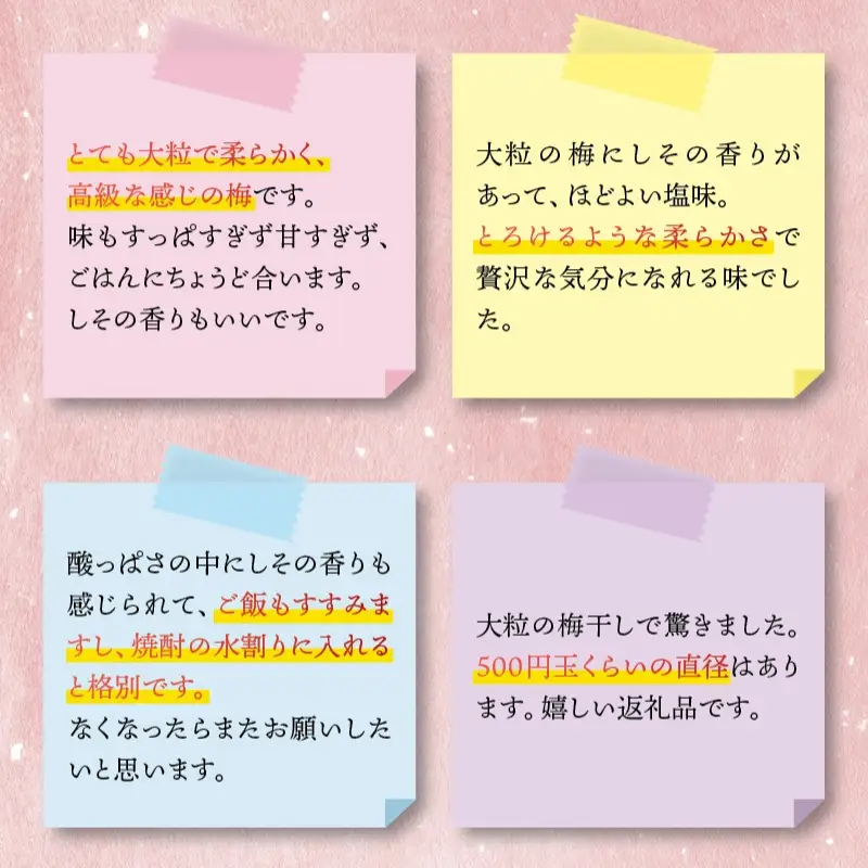 梅干し 最高級紀州南高梅・大粒しそ風味梅干し 1kg【ご家庭用】【inm210C】