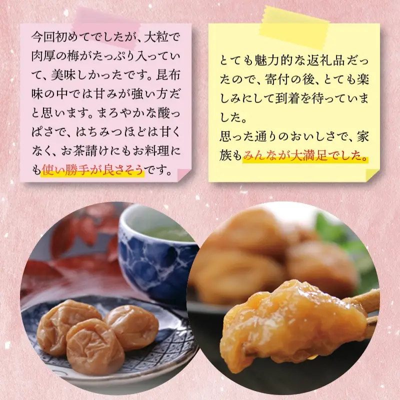 梅干し 最高級紀州南高梅・大粒こんぶ風味梅干し 1kg【ご家庭用】【inm410C】