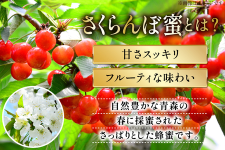 はちみつ 国産 アカシアはちみつ 500g りんごはちみつ 100g さくらんぼはちみつ 100g 各1本