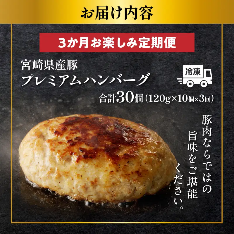 ≪3か月お楽しみ定期便≫宮崎県産豚プレミアムハンバーグ(合計30個) 肉 豚肉 加工品 国産_T001-0175