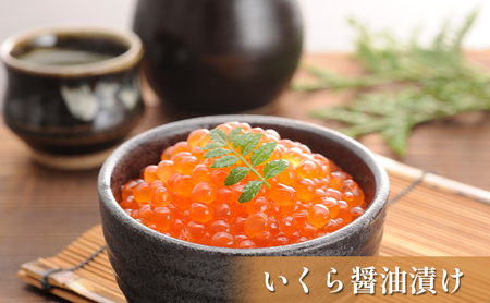 オホーツク枝幸の恵 高田商店 4種の晩酌お楽しみセット【 魚貝類 帆立 ホタテいくら 魚卵 サーモン 鮭 北海道 オホーツク 枝幸 】