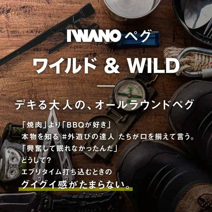 IWANOペグ16本セット《抜かない限り抜けません》テントを張るならIWANOペグ