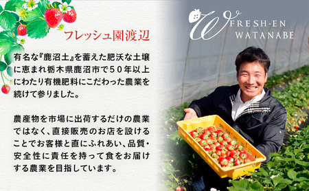 【訳あり】いちご とちあいか不揃い粒 2kg×2箱 計4kg ※2027年5月～発送