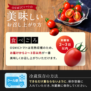 トマト OSMIC FIRST PRINCESS トマト
