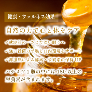 【限定数量】日本蜜蜂ハチミツ 170g はちみつ