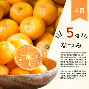 【定期便 全4回】紀州和歌山産旬の柑橘セット（みかん・ポンカン・清見・なつみ）_G60-T31