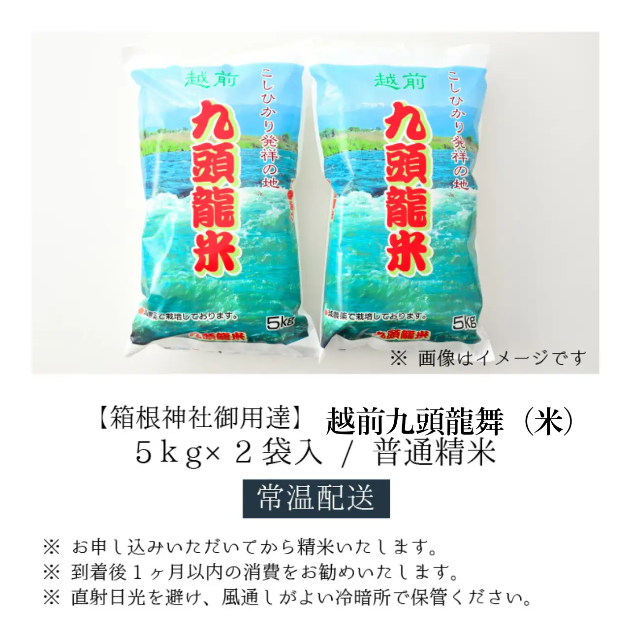 米 越前九頭龍舞 精米 10kg 令和8年産 米