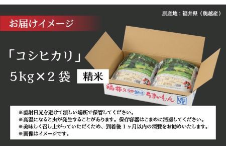 令和6年産 福井県産奥越コシヒカリ5kg ×2袋（計 10kg） [B-015007]