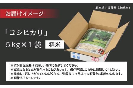令和6年産 福井県産奥越コシヒカリ5kg ×1袋 [A-015020]