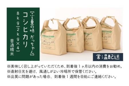 令和6年産 コシヒカリ8kg(2kg×4) [B-020005]