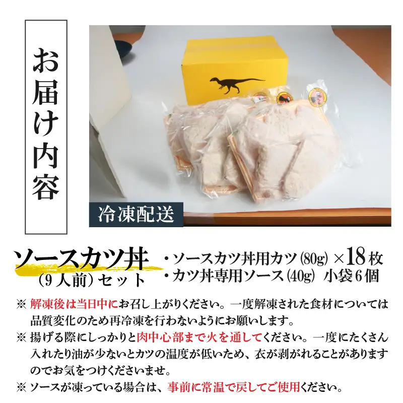 惣菜 ソースカツ丼セット 9人前 [A-037020]
