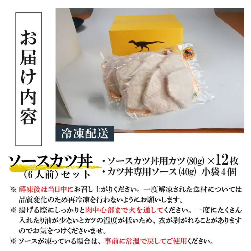 惣菜 ソースカツ丼セット 6人前  [A-037019]