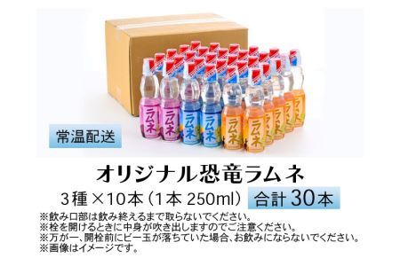 特選！オリジナル恐竜ラムネ3種×10本SET [A-038002]