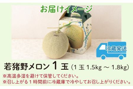 【先行予約】勝山 若猪野メロン (1玉 箱入り)  ※2024年7月中旬～8月中旬頃発送 [A-058004]