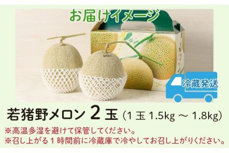 【先行予約】勝山 若猪野メロン (2玉 箱入り)  ※2024年7月中旬～8月中旬頃発送  [A-058005]